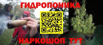 СК Бузулук