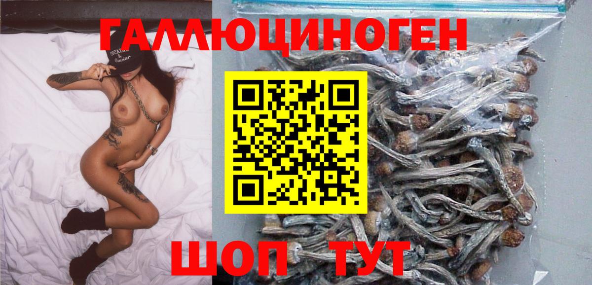 Унеча  Псилоцибиновые грибы Cubensis  Псилоцибиновые грибы мицелий  Вход с VPN 