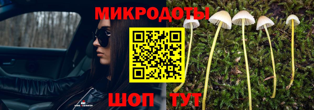 Галлюциногенные грибы Cubensis Унеча